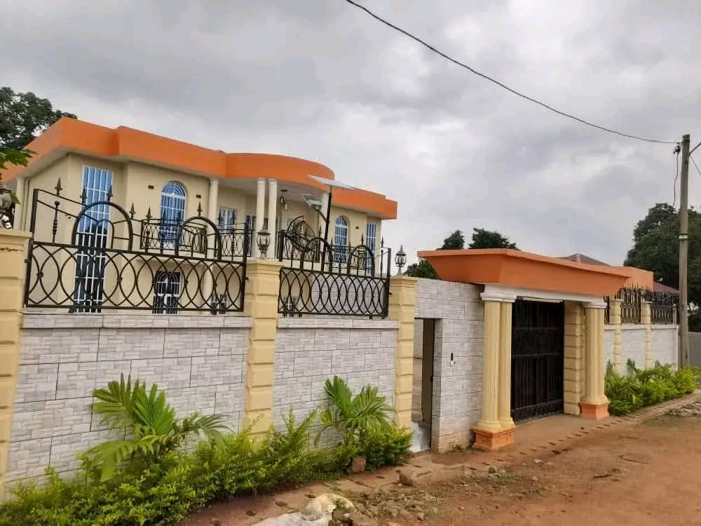 pro construction btp cameroun